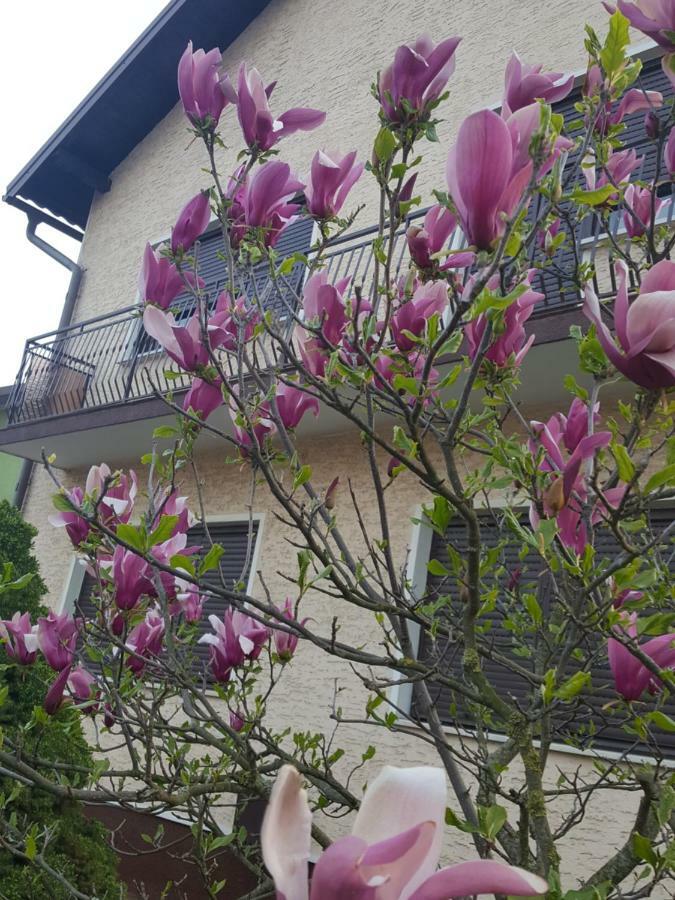 فاغاشدين Apartmani Grlice II المظهر الخارجي الصورة